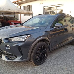 Cupra Formentor 2.0 TDI 150 cv 4Drive DSG Sensori CarPlay